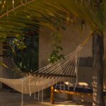 thegarden_zanzibar_1703552662_3265958908248931523_45385951254